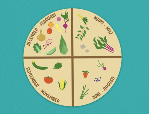 Recept för våren – Så tar du vara på bra råvaror 