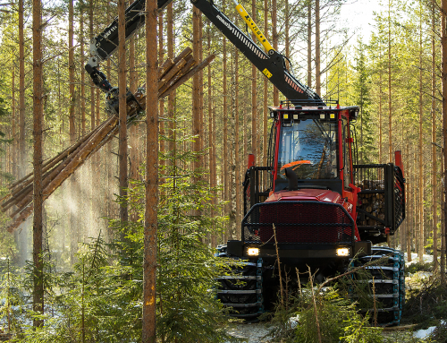 Idag är skogens dag – Men skogsindustrin rasar samman